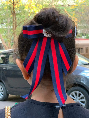 Blue and Red Stripes Two in One Hair Clip and Broach - 