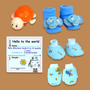 Blue Joy Newborn Hamper 0 - 12 Months - Baby Gifting