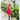 Bright Lemon Flowers, Chinese Canopy Style Rain and All season Umbrella - Little Surprise BoxBright Lemon Flowers, Chinese Canopy Style Rain and All season Umbrella