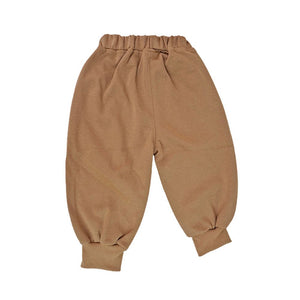 Brown Dog Broach 3 Pcs Track Suit Set For Toddlers And Kids - 2 - 3 Years Kids Clothing