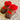 Brown Reindeer Christmas Socks for infant, 0 - 12 months - 