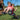 BYD Cedar Cove Swing Set - Kids Activity & Play Equipment