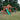 BYD Hill Crest Play Tower (incl. swings) - Kids Activity & Play Equipment