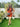 Carrot Cake Co-ord set - Free-size Women's Co ord Set