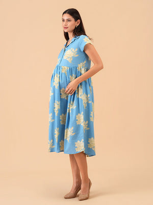 Celeste Pastels Maternity and Nursing Dress - S Maternity Casual Dress
