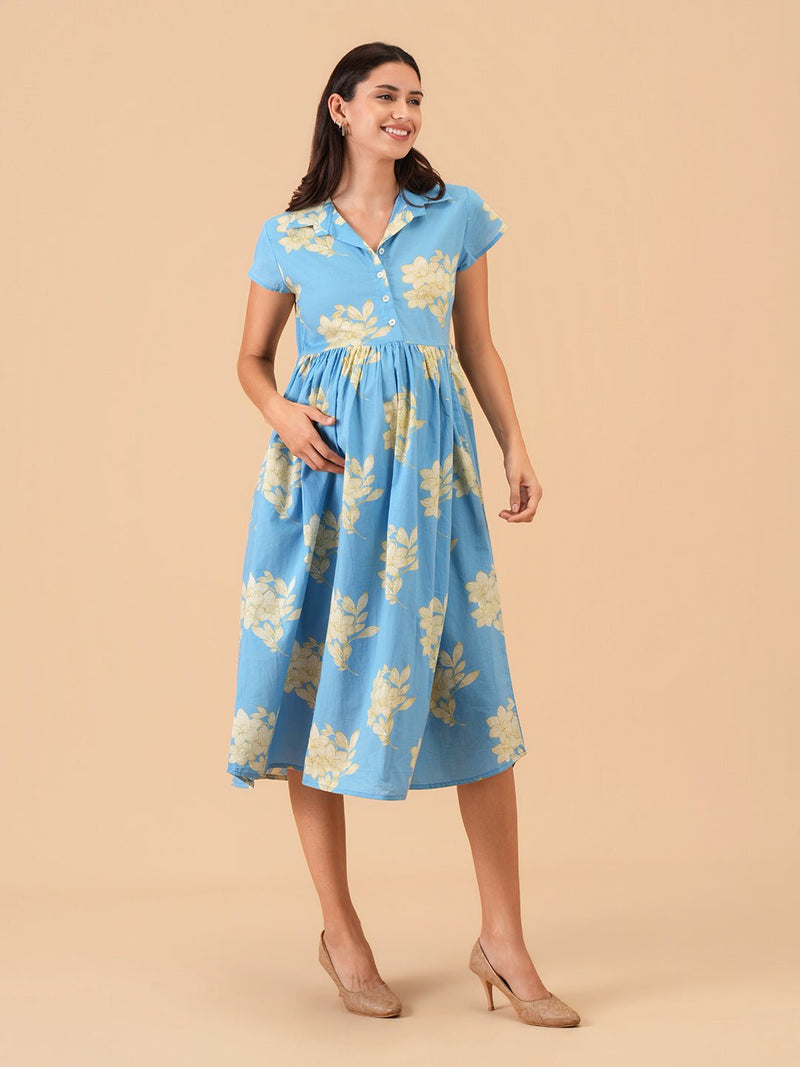 Celeste Pastels Maternity and Nursing Dress
