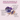 COCO CRUSH Lavender Coconut Body Scrub For Lightening & Brightening Skin - 50GMS - LAVBODYSCRUB50