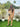 S Cold Brew Co - ord Set - Women's Co - ord Set
