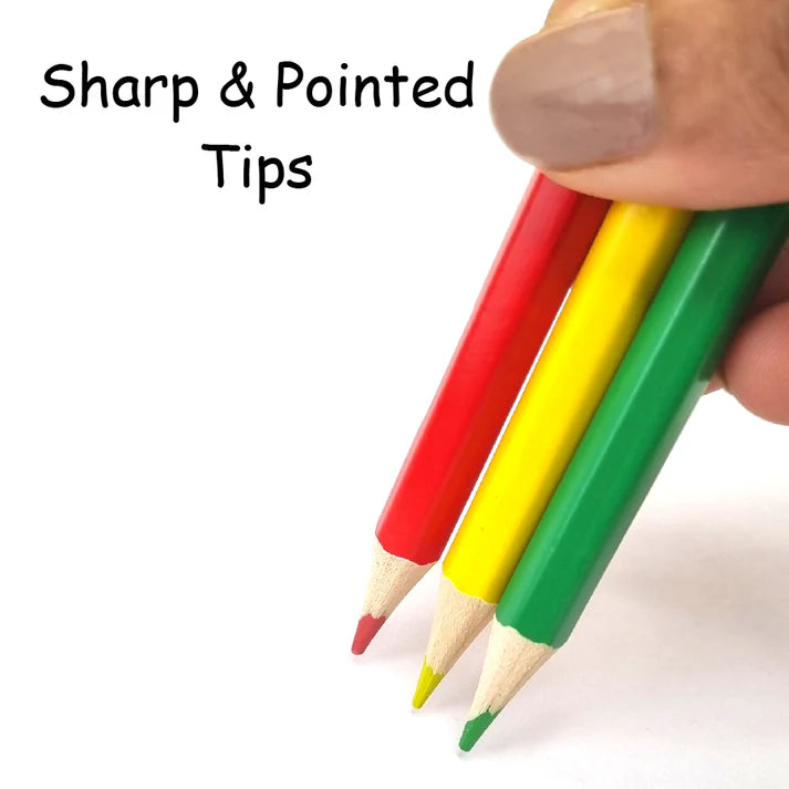 Scoobies Coloring Pencils - Pack of 36 Multi-Color Pencils