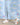 Colourful Daisies Jogger Set - KWW-AN-CDJG-0-6