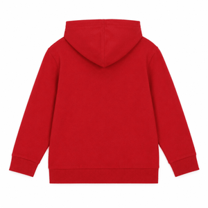 Combo of 2 Kids Hooded Sweatshirts - 0-6-months Kids Winter Hoodies