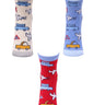 Combo Of 3 Kids Ankle Length Socks:Fly High:Ecru, Blue, Red - SOC3-AF-FHEBR-1-2