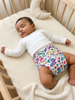 Combo of 3 Reusable Diapers - Option B - 3months - 3years Reusable Cloth Diaper