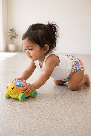 Combo of 5 Reusable Diapers - Option A - 3months - 3years Reusable Cloth Diaper