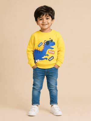 Cool Dino Rawr Sweatshirt - 0-6 Months Kids Winter Sweatshirts
