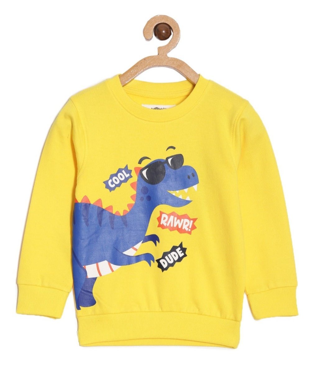 Cool Dino Rawr Sweatshirt - KWW-AN-CRSW-0-6