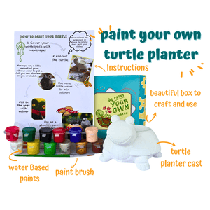 Craftopedia Paint Your Own Turtle Planter | DIY Art and Craft Kit - CR05T