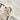 Cream & Brown Kids Teddy Soft Toy 2 Pcs Track Suit Set For Toddlers And Kids - 2 - 3 Years Kids Clothing