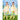 Cream Reptile Kingdom Raincoat for Kids. - L - 5 - 6 Years Monsoon Wear