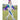 Cream With Teal & Purple Stripes 2Pcs Track Suit Set For Kids & Tweens - 5 - 6 Years Kids Clothing