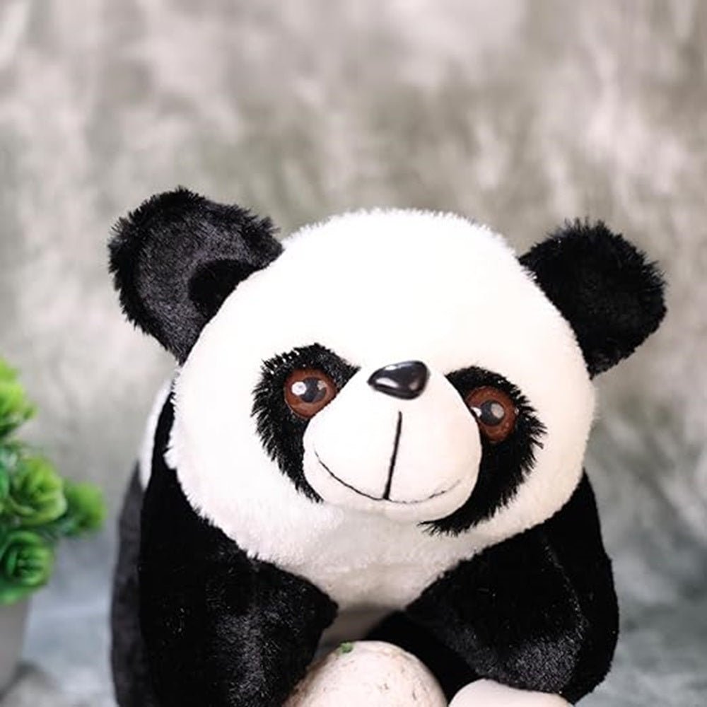 CuddleNest Cute Panda Soft Toy | Adorable Plush Soft Toy for Kids | Cute Stuffed Toy Home Decor (Lying Panda) - Lying_Panda_25*15*10
