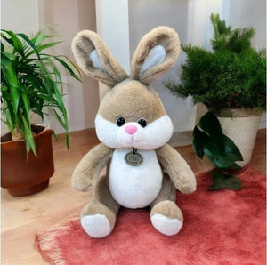 CuddleNest Plush Bunny Soft Toy | Cuddly Rabbit Teddy for Kids, Baby Girls & Gifting - Bugs Bunny_Brown