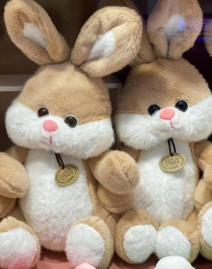 CuddleNest Plush Bunny Soft Toy | Cuddly Rabbit Teddy for Kids, Baby Girls & Gifting - Bugs Bunny_Brown