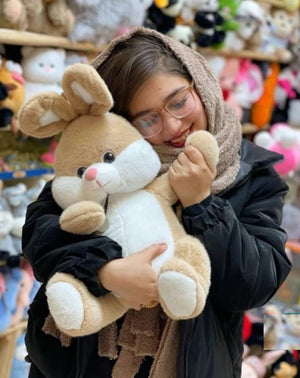 CuddleNest Plush Bunny Soft Toy | Cuddly Rabbit Teddy for Kids, Baby Girls & Gifting - Bugs Bunny_Brown