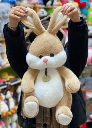CuddleNest Plush Bunny Soft Toy | Cuddly Rabbit Teddy for Kids, Baby Girls & Gifting - Bugs Bunny_Brown