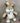 CuddleNest Plush Bunny Soft Toy | Cuddly Rabbit Teddy for Kids, Baby Girls & Gifting - Bugs Bunny_Brown