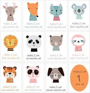 Cute Jungle Theme Milestone Cards- (Pack Of 25) - MSCD-CJTM