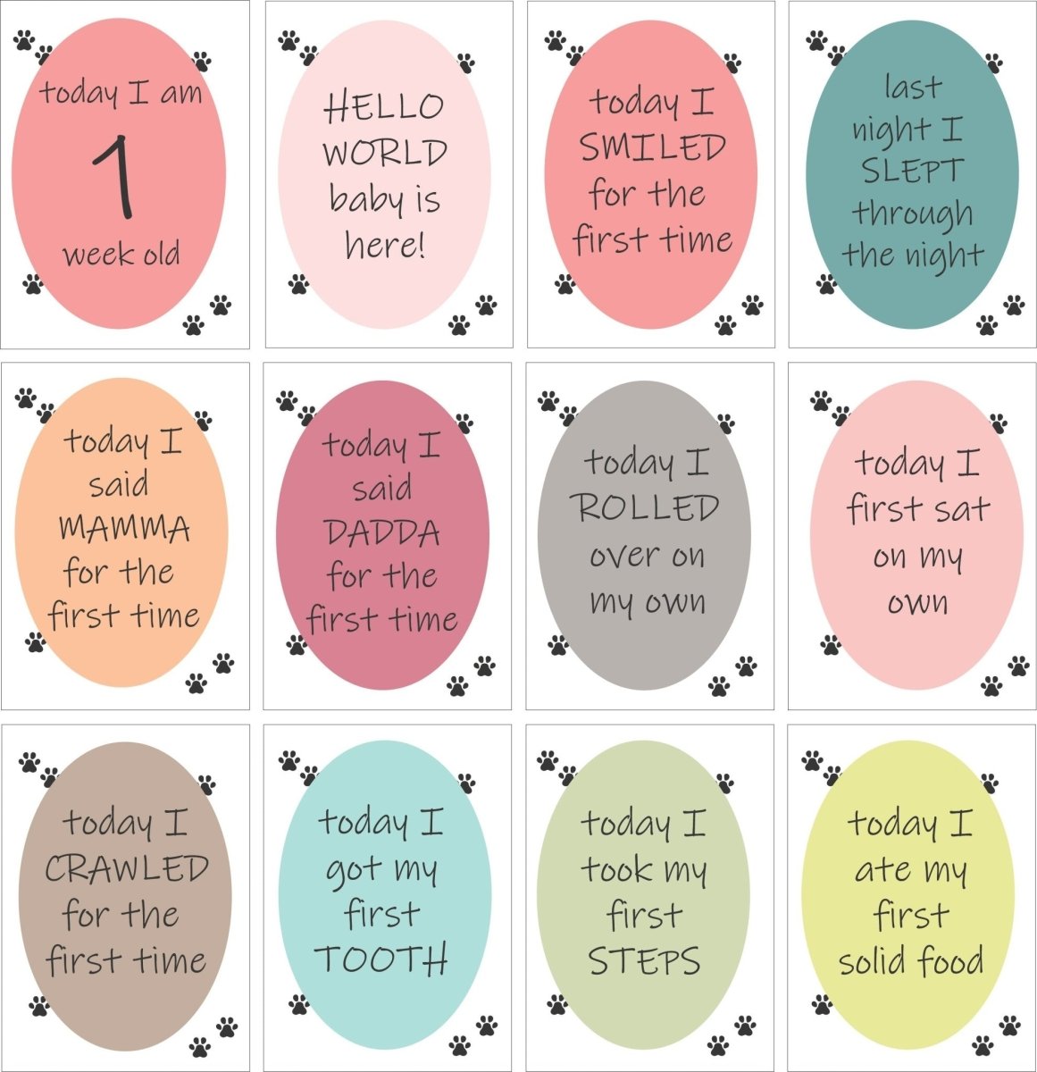 Cute Jungle Theme Milestone Cards- (Pack Of 25) - MSCD-CJTM