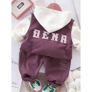 Dark Burgandy Designed 3 Pcs Sleeveless Jacket Styled Hoodie And Pant Suit Set For Toddlers And Kids - 3 - 4 Years Kids Clothing