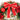 Deep Red Merry Christmas themed artificial Christmas Wreath for Walls, Tree and Christmas Door Décor, 15 inches (w) x 15 inches (ht) with Lights - Little Surprise BoxDeep Red Merry Christmas themed artificial Christmas Wreath for Walls, Tree and Christmas Door Décor, 15 inches (w) x 15 inches (ht) with Lights