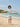 Digger Dino Boys T-shirt And Short Swim Set - 3 - 4 Years Kids Swimwear
