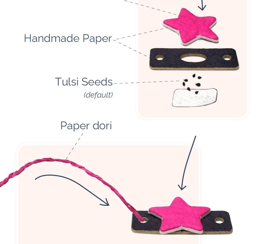 Digitox Kits Grow My Rakhi Kit - DIGI141