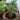 DIY Gardening Kit – Kids Gardening Set for Fun Plant Growing - ilearnngrow Learning Solutions Pvt Ltd