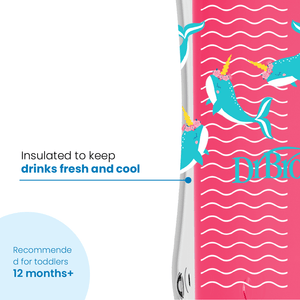 Dr. Brown'S 10 Oz/300 Ml Insulated Straw Cup, 1-Pack Pink 12M to 36M - Baby Cups & Sippers