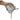 Dr. Brown'S Milk Powder Dispenser Grey Birth to 24M - DBAC247 - P12
