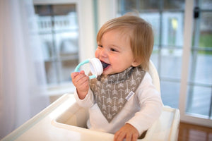 Dr. Browns Fresh Firsts Silicone Feeder, 1-Pack - Mint - DBTF006-P3
