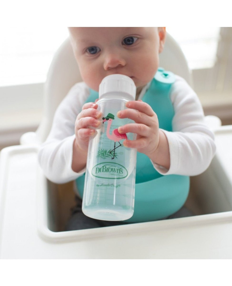 Dr. Browns Narrow Sippy Spout Bottle- Flamingo - DBSB81094-P12