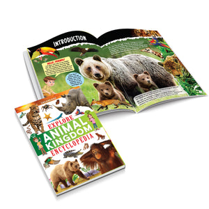 Dreamland Explore Encyclopedia Books Pack - A Set of 8 Books - Books