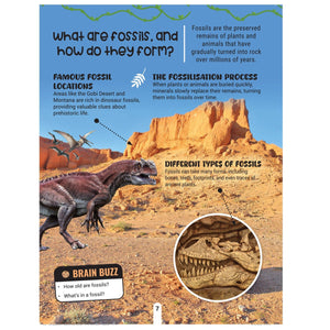 Dreamland Factopedia Dino Discovery Dinosaur Facts Book for Kids 6+ Years - Books