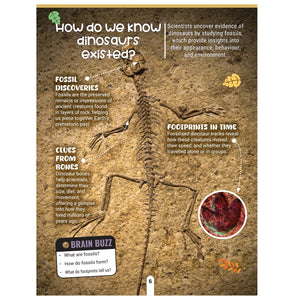 Dreamland Factopedia Dino Discovery Dinosaur Facts Book for Kids 6+ Years - Books