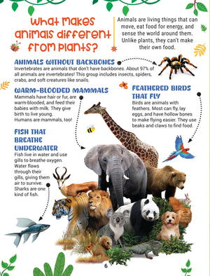 Dreamland Factopedia Science Scoop Fun Science Facts Book for Kids 6+ Years - Books