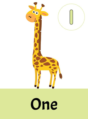 Dreamland Flash Cards Numbers - 30 Double Sided Wipe Clean Flash Cards for Kids (With Free Pen) - Books