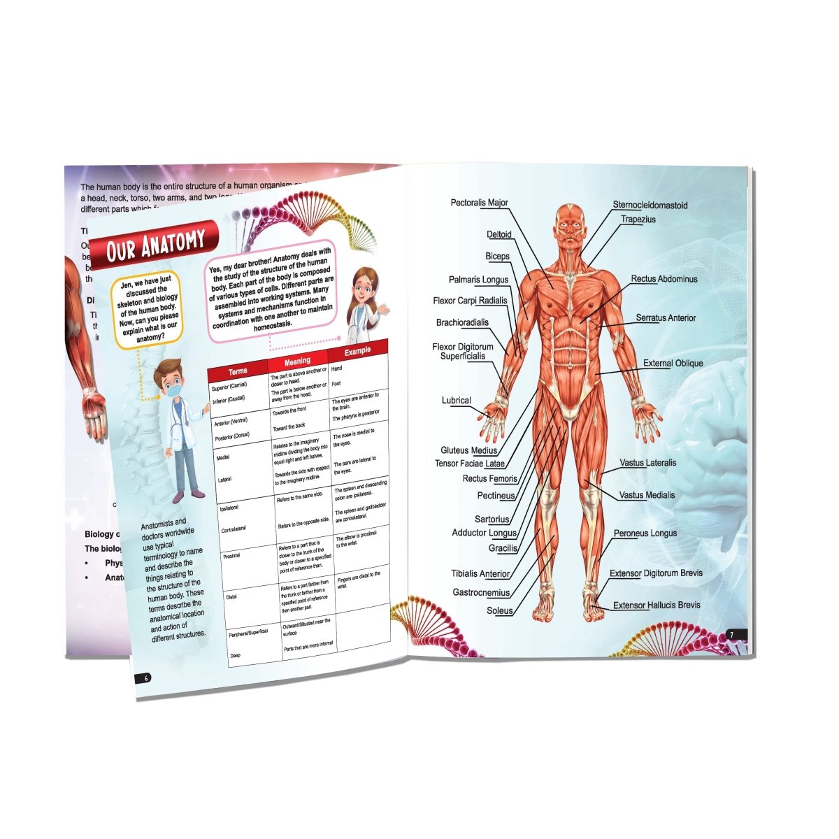 Dreamland Publications Explore Human Body Encyclopedia - 9789395588362