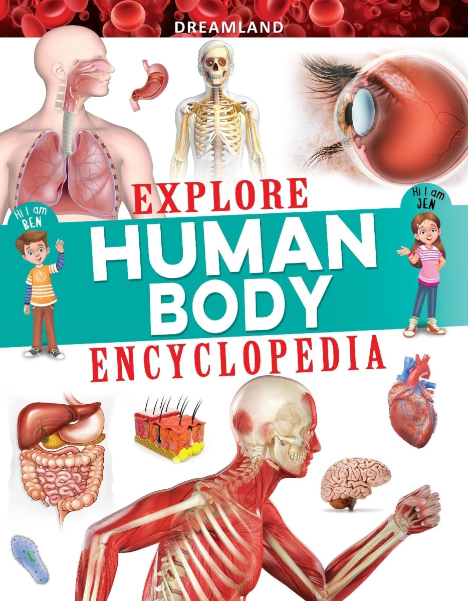 Dreamland Publications Explore Human Body Encyclopedia - 9789395588362