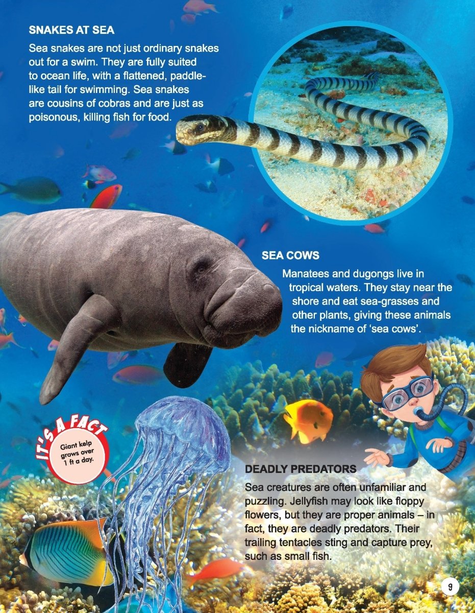Dreamland Publications Explore Ocean World Encyclopedia - 9789395588386