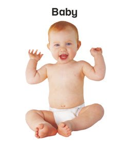 Dreamland Publications First Padded Board Book - My Body - 9788184514476